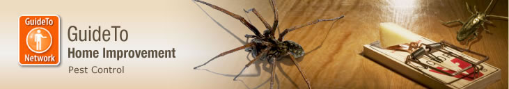 Guide To Home Improvement - Pest Control Guide To Home Improvement - Pest Control