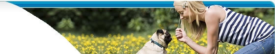 Animal Behavior College