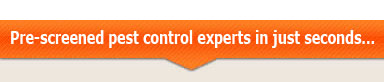 Pest Control Experts