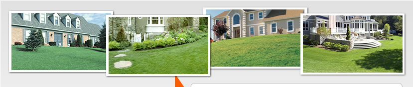 Guide To Home Improvement - Lawn Care